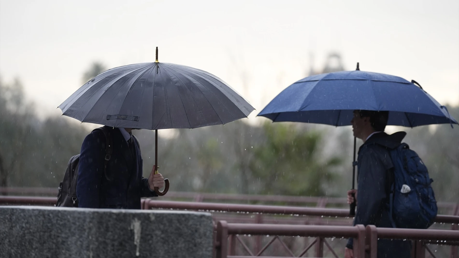 La Aemet activa el aviso amarillo por lluvia y tormenta hasta esta noche en Sevilla