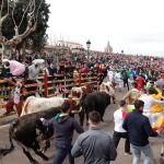 Encierro de los Carnavales de Ciudad Rodrigo
