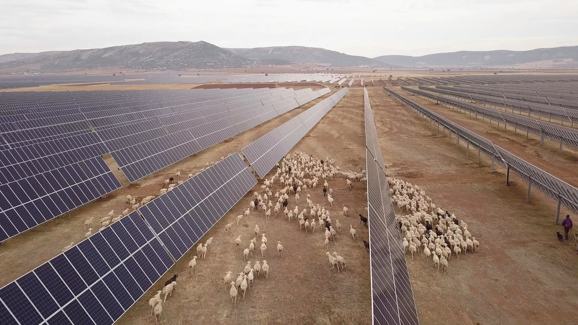 Parque fotovoltaico de Naturgy