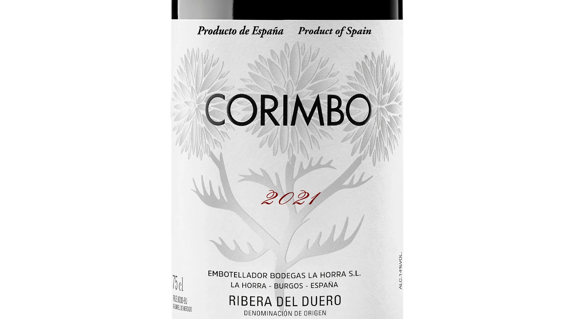 Corimbo 2021