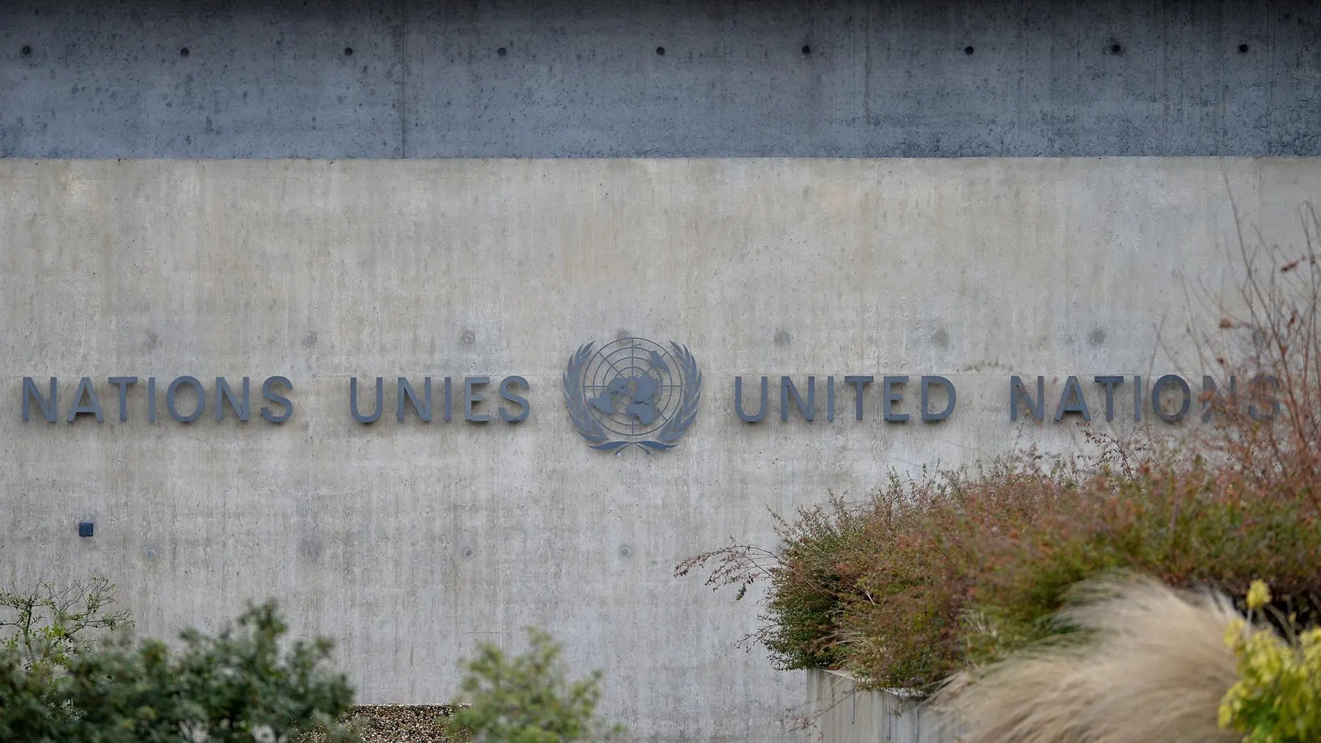 Seis diputadas de dos comisiones del Congreso viajan esta semana a Nueva York para una reunión de ONU Mujeres