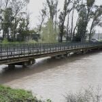 Río Guadalete a su paso por la pedanía de Las Pachecas, en Jerez
