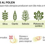 Alergias 2025