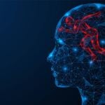 El suplemento diario económico que parece mejorar la función cerebral en personas mayores