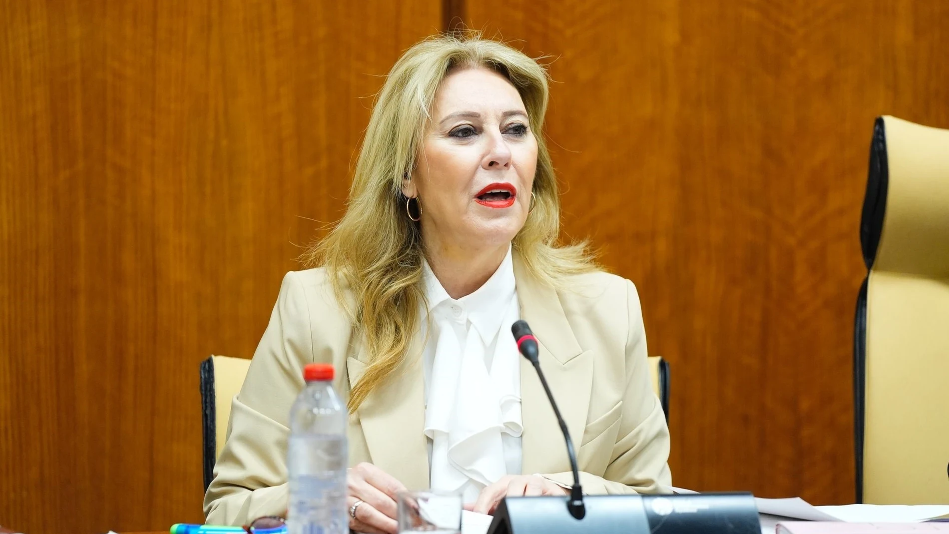 La consejera andaluza de Economía, Hacienda y Fondos Europeos, Carolina España