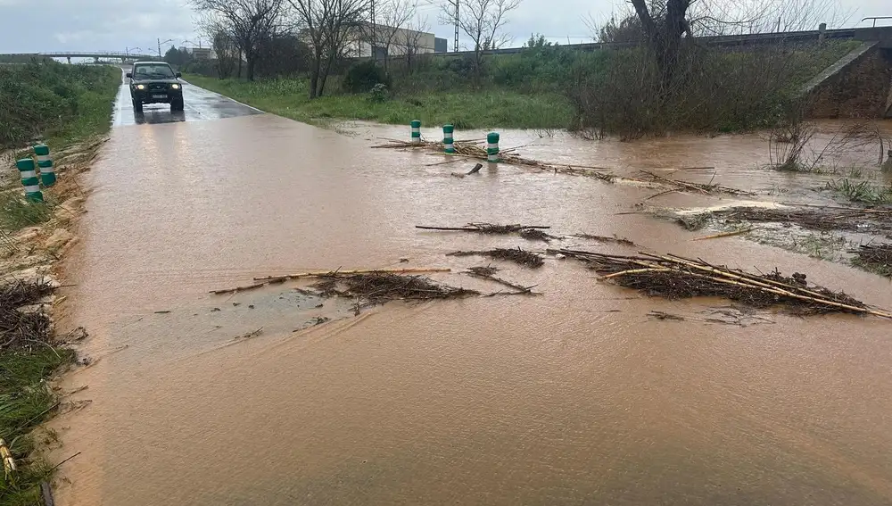 'Konrad' deja una herida al caerle la puerta del garaje por el viento en Utrera (Sevilla) y carreteras afectadas