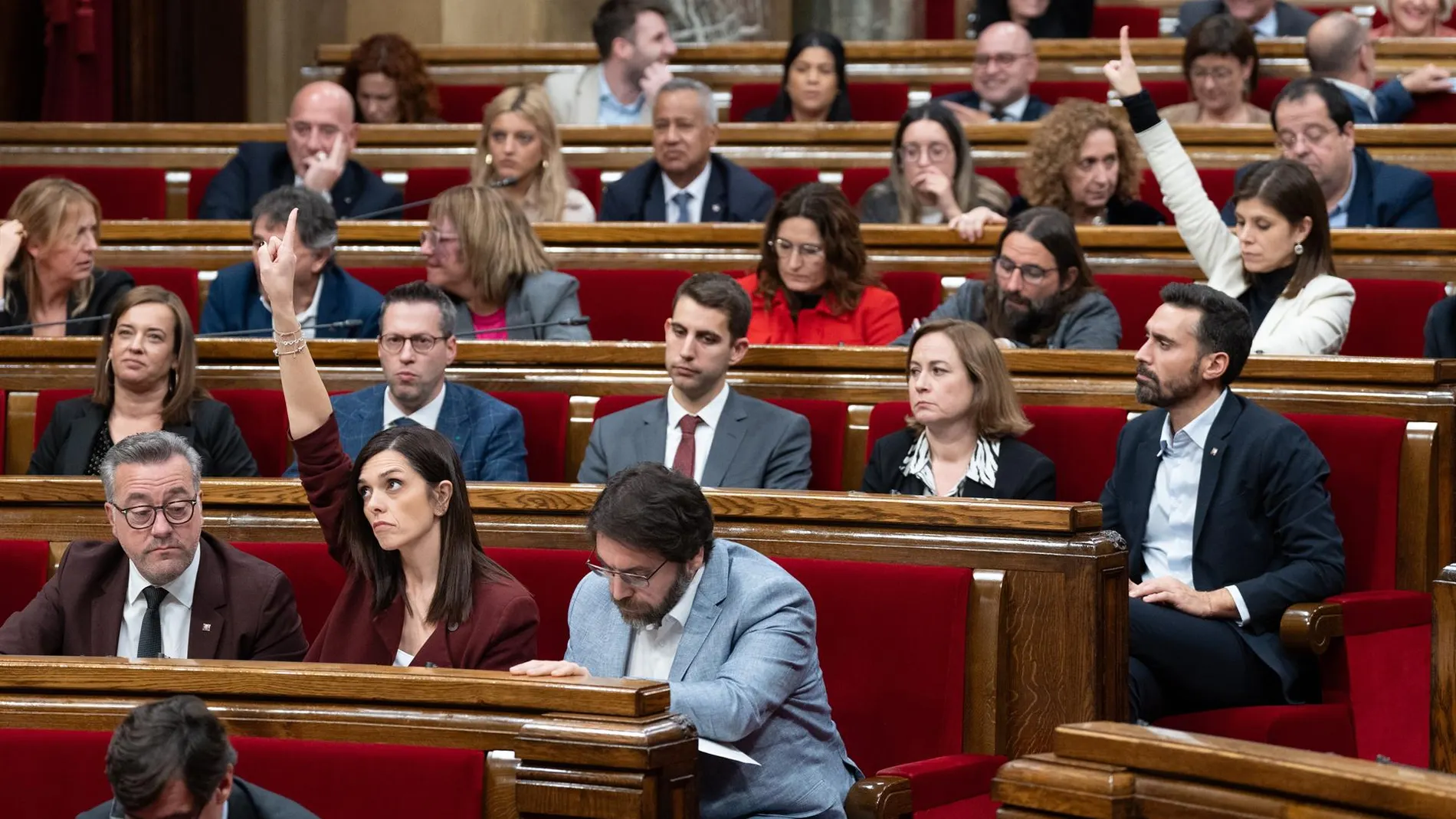 Votaciones durante una sesión en el pleno del Parlament, a 19 de diciembre de 2024.