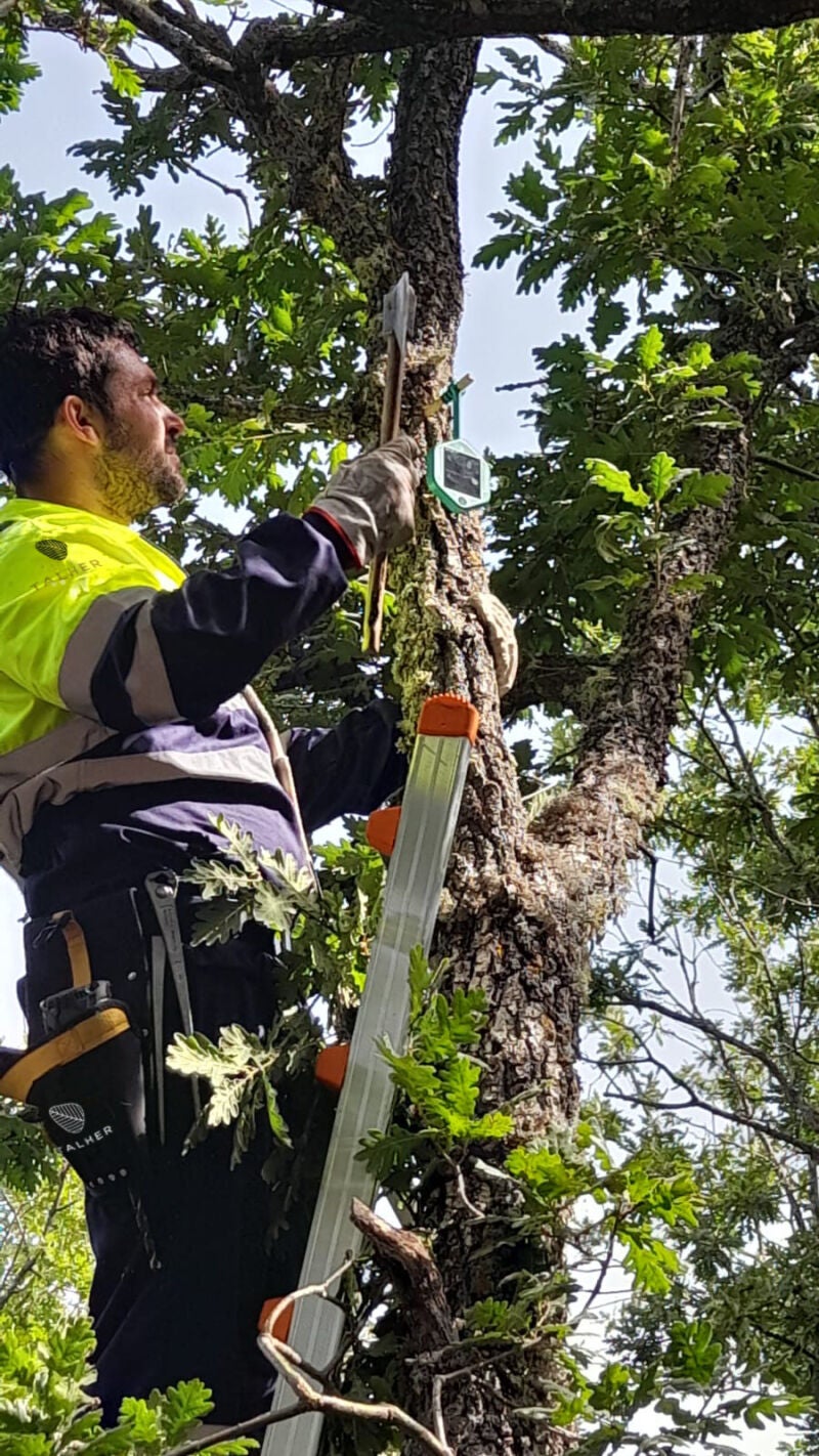 Un operario instala uno de los 122 sensores que funcionan con energía solar.