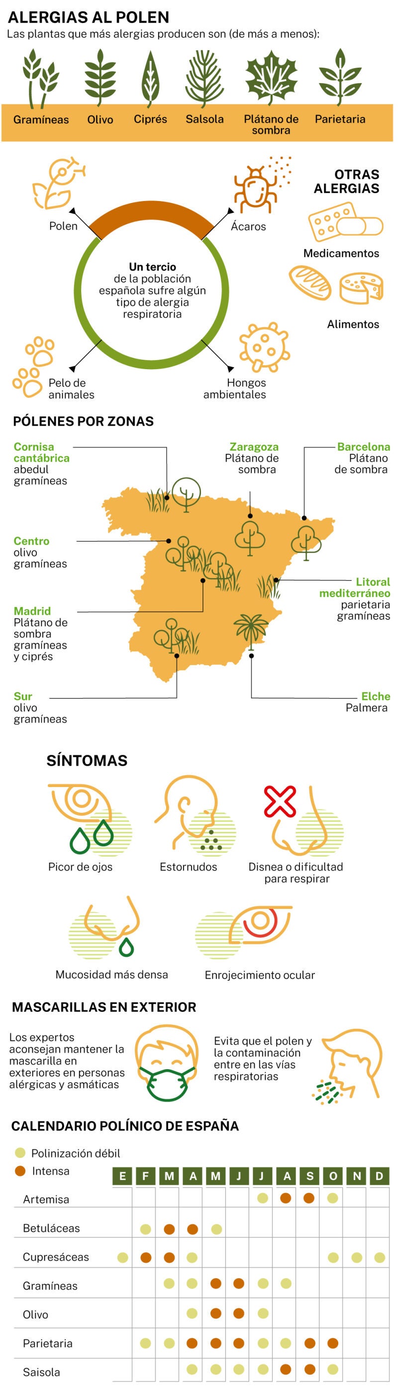 Alergias 2025