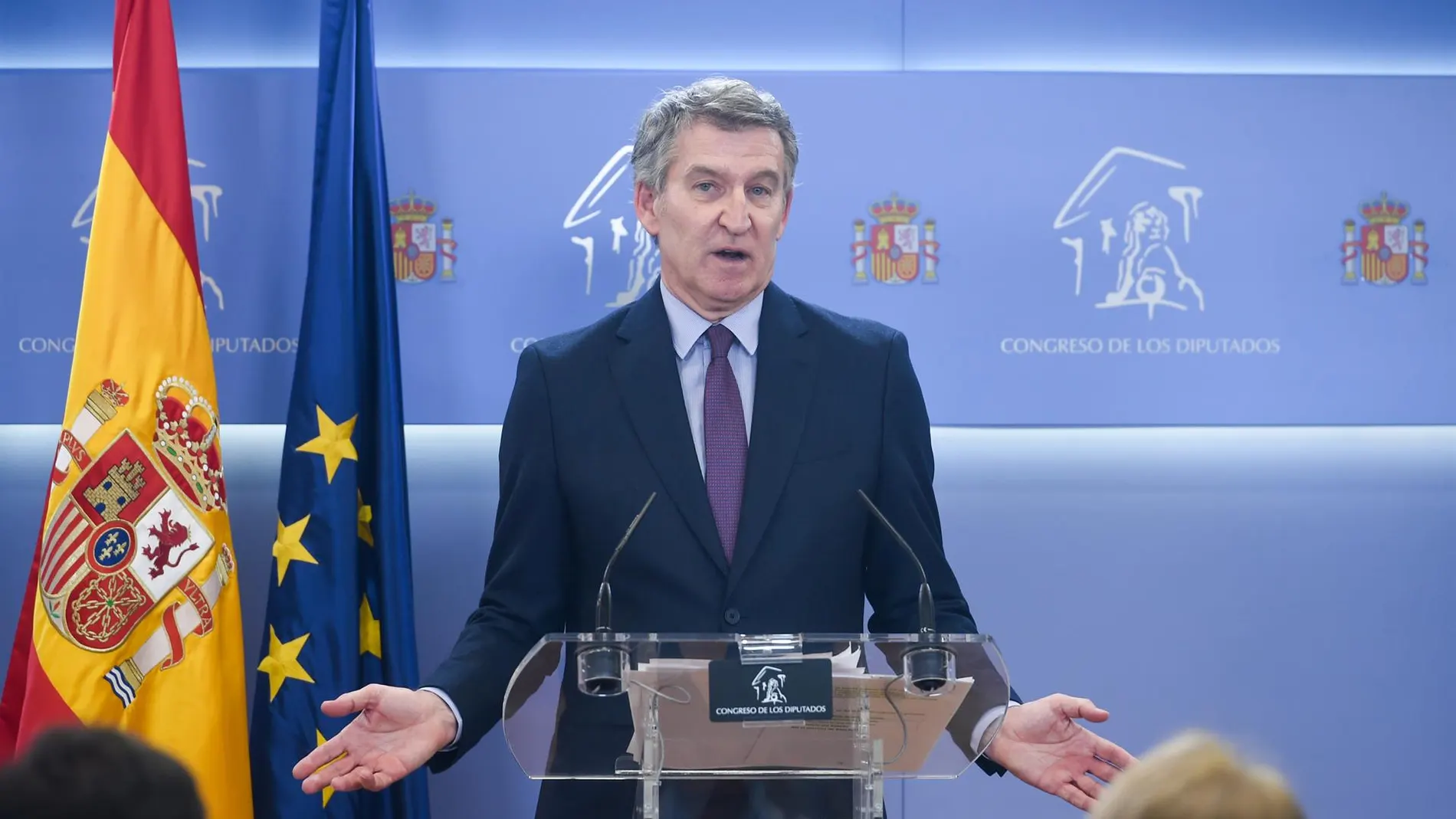 El presidente del PP, Alberto Núñez Feijóo