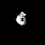 El modulo Endurance poco antes de acoplarse a la Estación Espacial Internacional