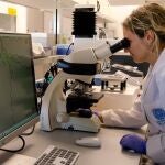 Una microalga autóctona de Almería mejora el crecimiento de los geranios