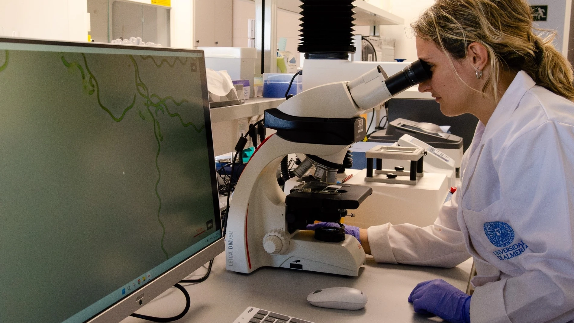 Una microalga autóctona de Almería mejora el crecimiento de los geranios