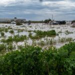 Evacuan a nueve vecinos de Gibraleón ante la crecida del río Odiel