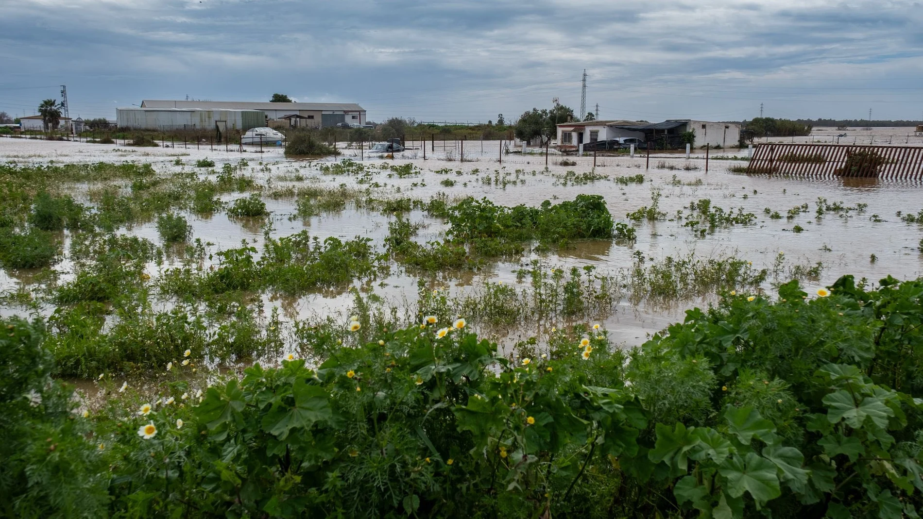 Evacuan a nueve vecinos de Gibraleón ante la crecida del río Odiel