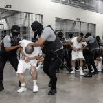 Bukele y Trump actúan fuera de los marcos legales con el envió a El Salvador de migrantes