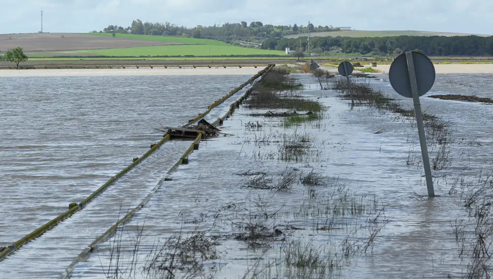 Un punto de la SE-9021 que ha tenido que ser cortada a causa de las inundaciones.