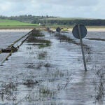 Un punto de la SE-9021 que ha tenido que ser cortada a causa de las inundaciones. 