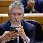 Sesión del Pleno del Senado