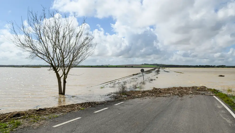 Un punto de la SE-9021 que ha tenido que ser cortada a causa de las inundaciones