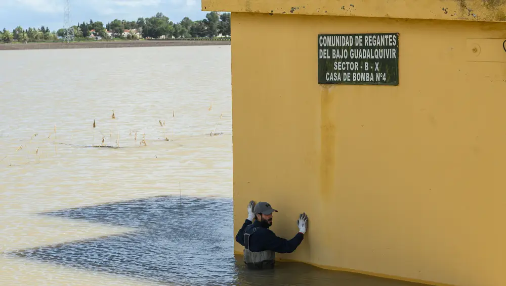 perarios inspeccionan el estado de una estación de bombeo de la localidad sevillana de Las Cabezas de San Juan que ha quedado anegada por las lluvias.