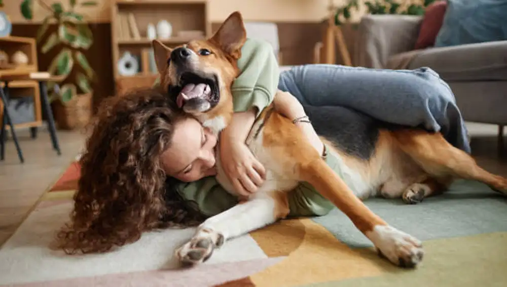 Hacienda revela el dinero que te pueden devolver si tienes perro o gato como mascota