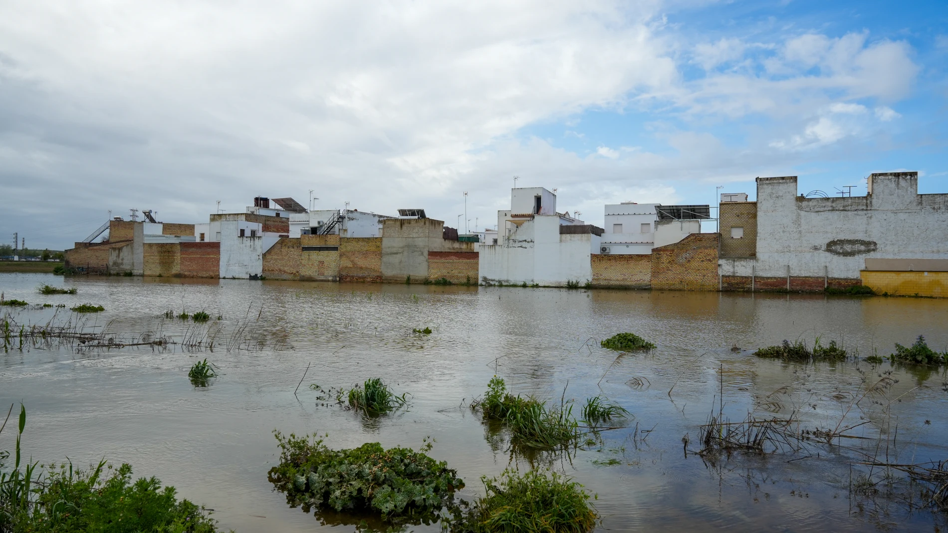 Imágenes de las inundaciones en el Palmar de Troya. A 20 de febrero de 2025 en El Palmar de Troya, Sevilla (Andalucía, España). La nueva borrasca 'Martinho' ha llegado en la madrugada de este jueves a Sevilla dejando fuertes lluvias en toda la provincia. Ante esta previsión, al Agencia de Emergencias de Andalucía (EMA) constituyó un Puesto de Mando Avanzado (PMA) en El Palmar de Troya Y Cantillana (Sevilla) para el seguimiento de la situación en ese punto donde se desalojaron trece personas y...