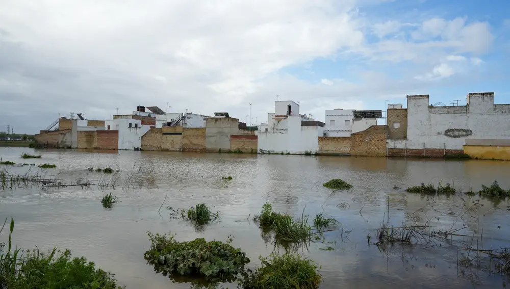 Zonas inundada en El Palmar de Troya.