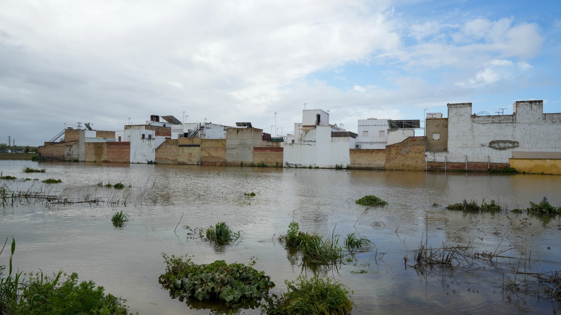 Zonas inundada en El Palmar de Troya.