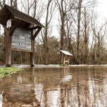 Madrid sigue de cerca la evolución del Manzanares tras el desembalse de la presa del Pardo