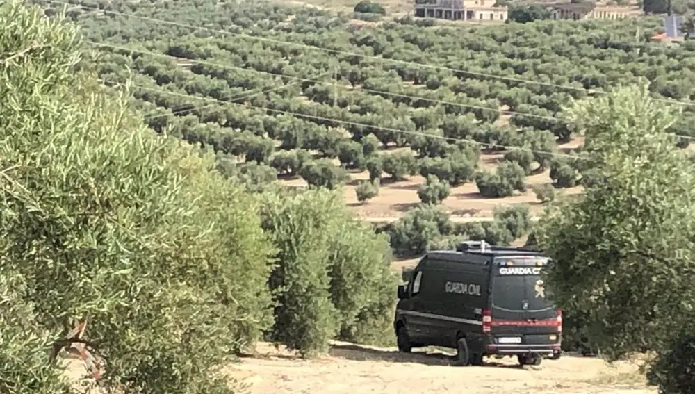 Detenido el empresario agrícola para el que trabajó el temporero desaparecido en Villacarrillo (Jaén) en 2021