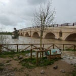 mágenes de la crecida del río Guadalete