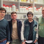 Investigadores andaluces logran obtener lubricantes sostenibles a partir de nanofibras de celulosa