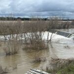 Río Adaja a su paso por Valdestillas
