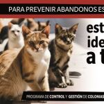 Cartel de la campaña de identificación y esterilización de gatos domésticos