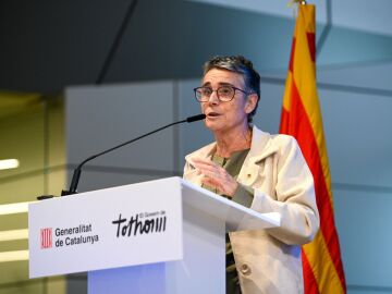 La consellera de Salut de la Generalitat, Olga Pan&eacute;