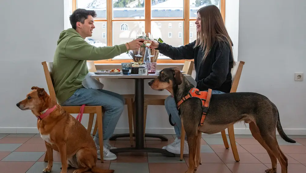 Turismo petfriendly