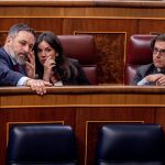Vox defenderá hoy en el Congreso frenar la ley sobre 'lobbies' por no incluir a partidos, sindicatos ni patronales