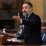 AM.-Abascal recalca el apoyo de Vox al aumento del gasto en Defensa, pero pide que se destine a proteger Ceuta y Melilla