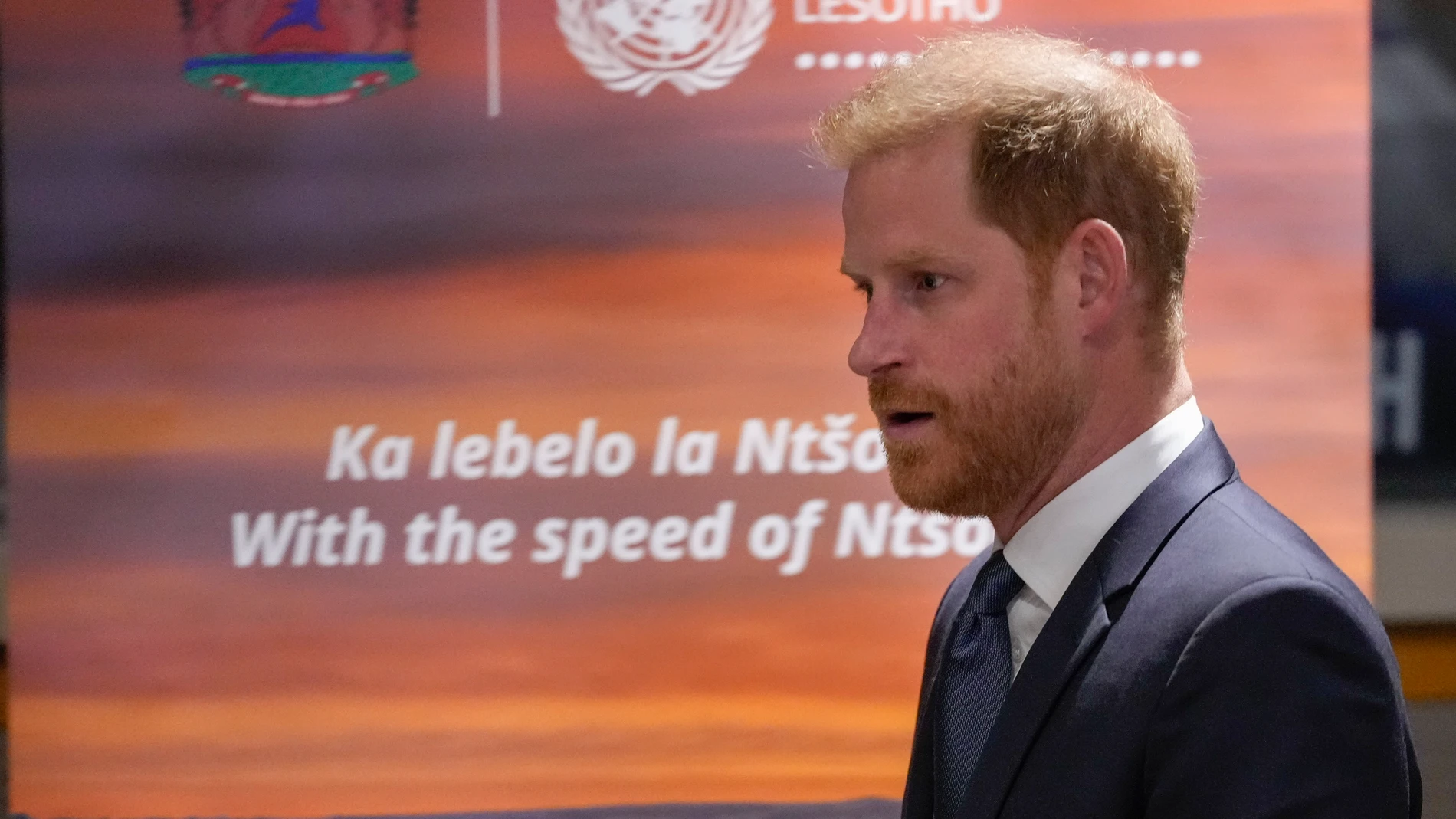 FILE - Britain's Prince Harry speaks during a high level event sponsored by Lesotho at U.N. headquarters, Tuesday, Sept. 24, 2024. (AP Photo/Frank Franklin II, file)