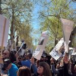 Protesta de los veterinarios ante la Subdelegación del Gobierno en Sevilla