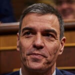 El presidente del Gobierno, Pedro Sánchez, en el Congreso