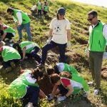 Unicaja.- Fundación Unicaja plantará más de 6.500 árboles gracias a su campaña 'Un niñ@, un árbol'