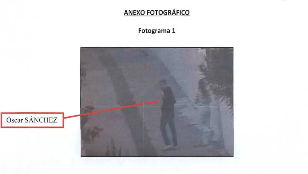 Una de las vigilancias al exjefe de la UDEF