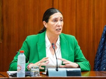 La consejera de Inclusión Social, Juventud, Familias e Igualdad, Loles López, en comisión parlamentaria La consejera de Inclusión Social, Juventud, Familias e Igualdad, Loles López, en comisión parlamentaria