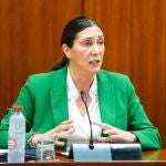 La consejera de Inclusión Social, Juventud, Familias e Igualdad, Loles López, en comisión parlamentaria