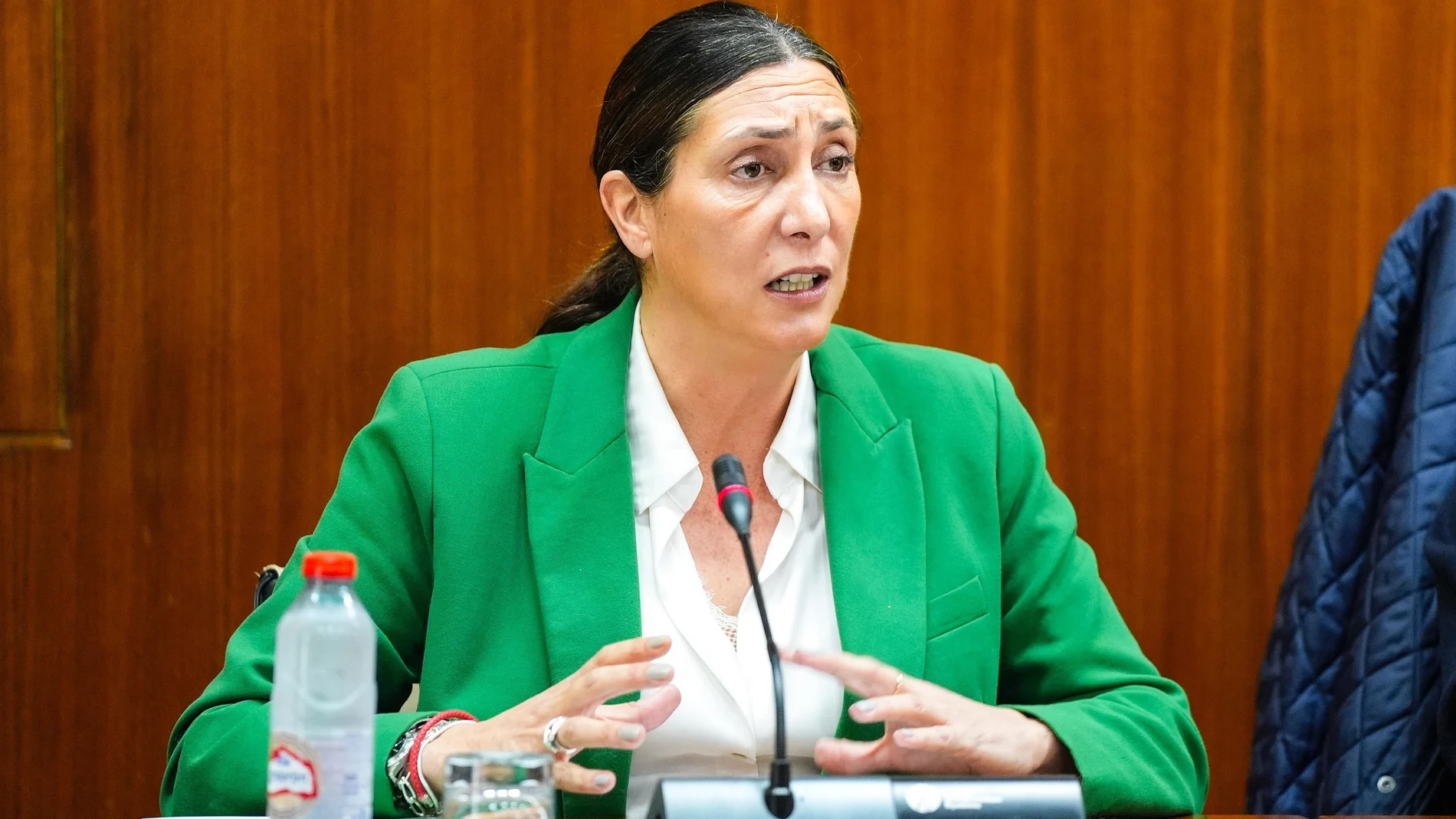 La consejera de Inclusión Social, Juventud, Familias e Igualdad, Loles López, en comisión parlamentaria