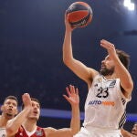EuroLeague Basketball - Crvena Zvezda vs Real Madrid