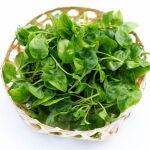 Esta hierba silvestre se considera la verdura más saludable del mundo y crece en abril