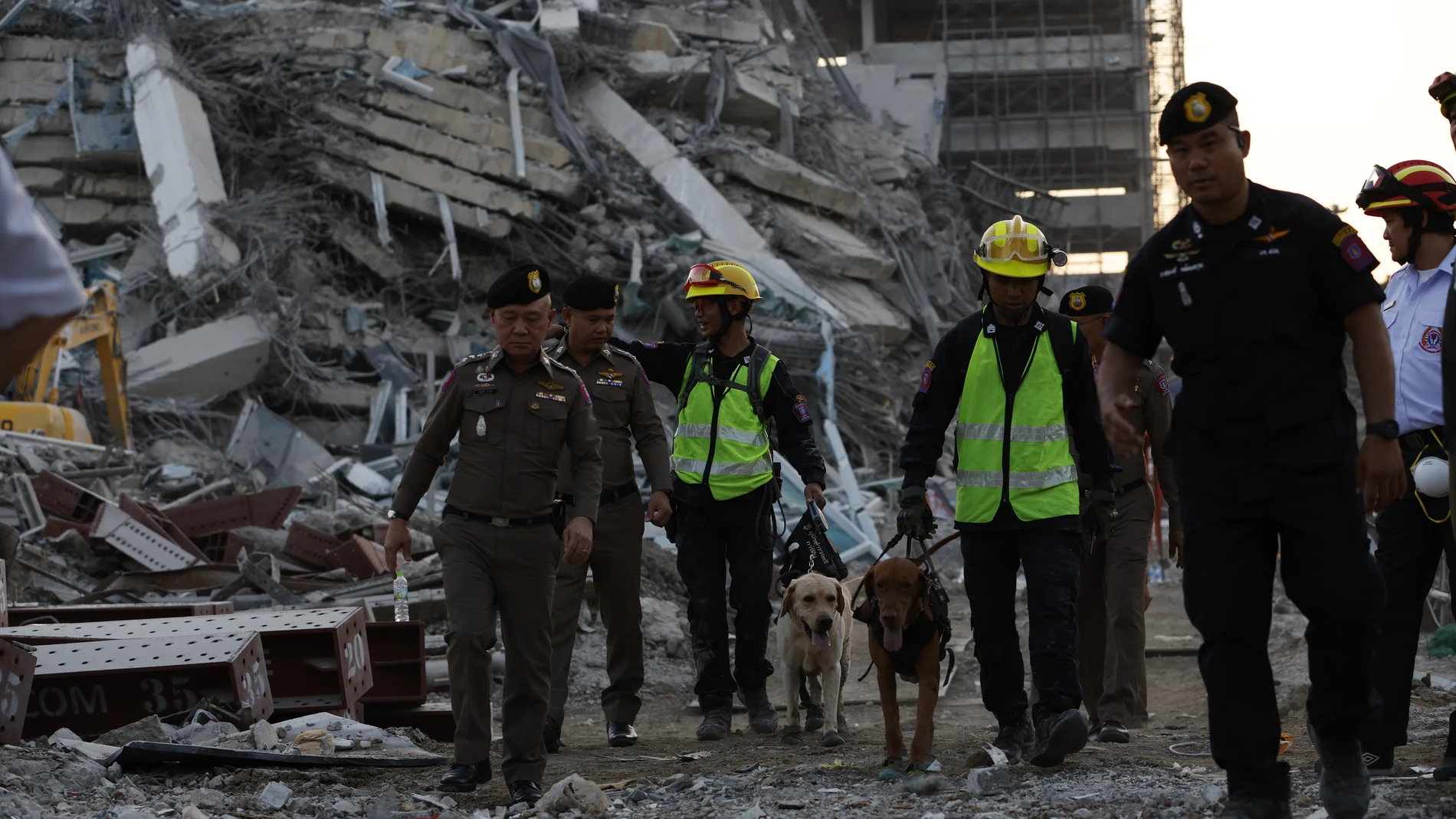Bangkok (Thailand), 28/03/2025.- Rescue workers search for survivors with sniffer dogs at the site of a collapsed building following an earthquake in Bangkok, Thailand, 28 March 2025. According to the National Institute for Emergency Medicine, 70 construction workers are missing at the site following a 7.7-magnitude earthquake that struck Myanmar and caused tremors that could be felt in neighboring Thailand. (Terremoto/sismo, Birmania, Tailandia) EFE/EPA/RUNGROJ YONGRIT